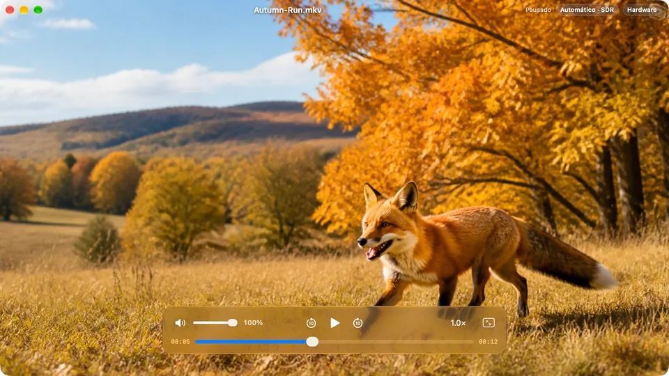 Captura real do APlay 1.2 · Reprodução